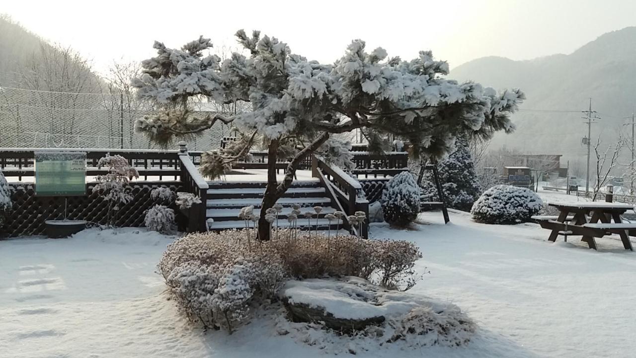 Forest Of Color Pension Hongcheon Exterior foto