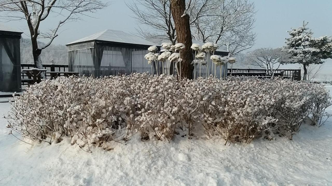 Forest Of Color Pension Hongcheon Exterior foto